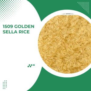 1509 Golden Sella Rice 009