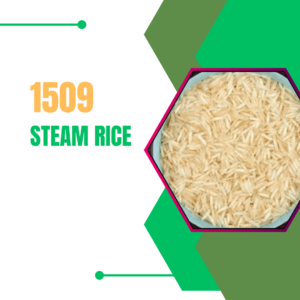 1509 steam rice 1
