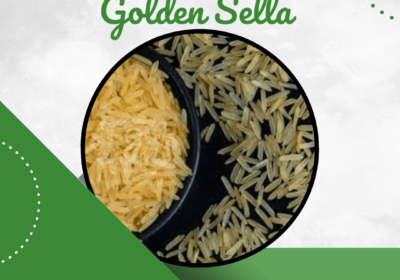 1718 golden sella rice 009 1718 golden sella rice 009