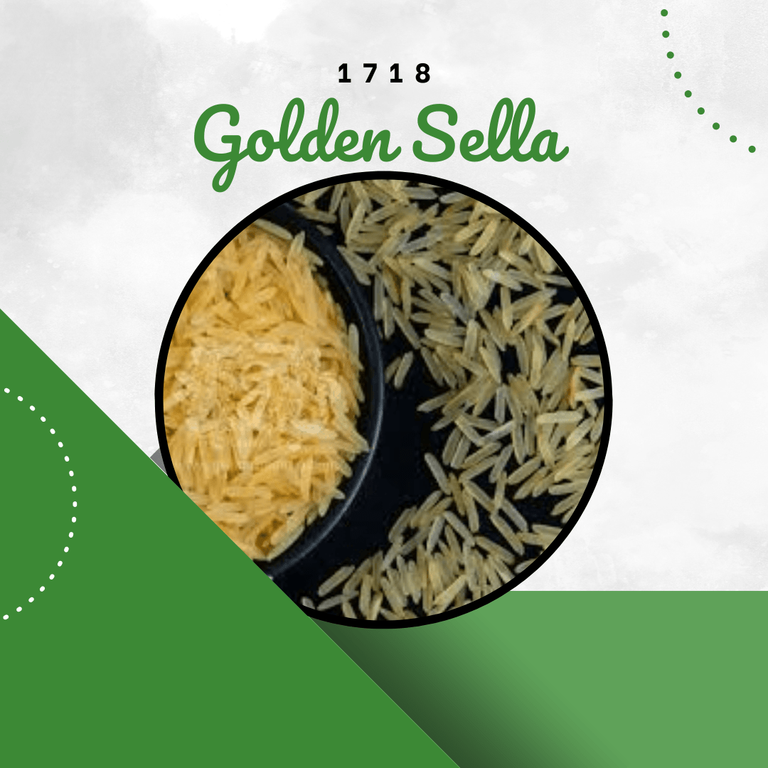 1718 golden sella rice 009 1718 golden sella rice 009