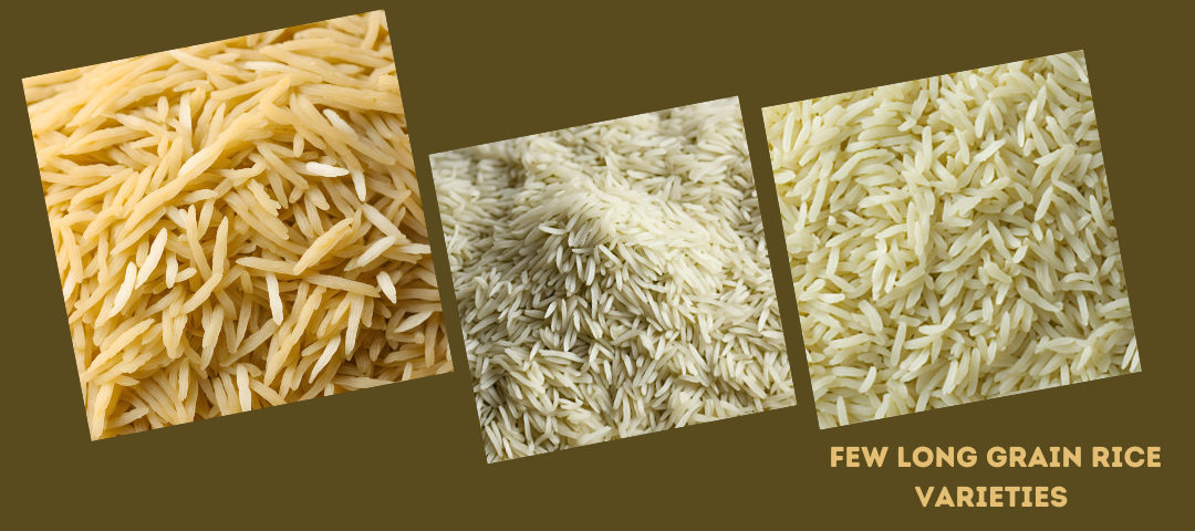 few long grain rice varieties 1