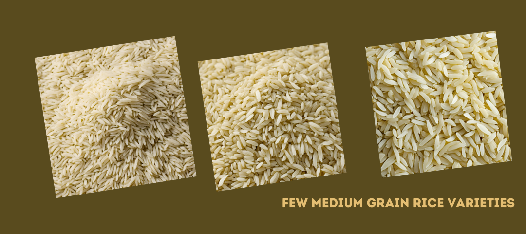 few medium grain rice varieties 1